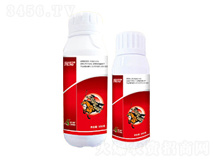 10%�ȳ汽��ʭ����SC-����-һ���Ƽ�