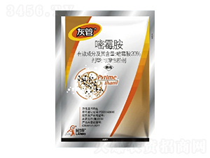 20%��ù��WP-�ҹ�-һ���Ƽ�