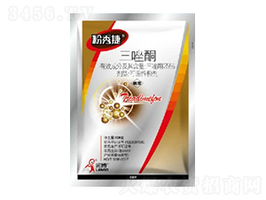 25%����ͪWP-�����-һ���Ƽ�