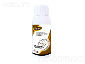 12%�����EC-����-һ���Ƽ�