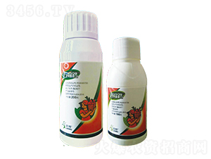 40%���ѡ�����SC-��·-һ���Ƽ�