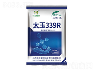 ̫��339R-��ũ����