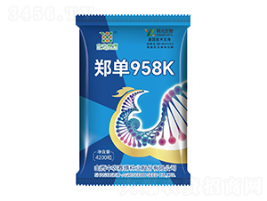 ֣��958K-��ũ����
