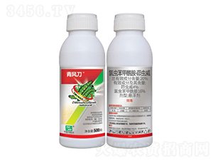 20%�ȳ桤�������������SC��-��絶-�л������ѧ