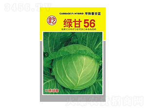��������-�̸�56-����ũҵ