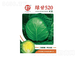 ��������-�̸�520-����ũҵ