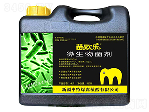 �绶��΢�������-����ú