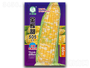 �����505��������-������ҵ