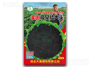 �������簫��ͷ-�Ϳ�����-������ҵ