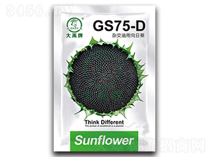 GS75-D-�Ϳ�����-������ҵ
