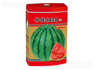 ���8424��������-������ҵ