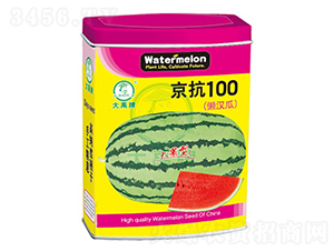 ����100��������-������ҵ