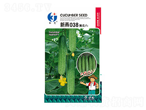 ����038-�ƹ�����
