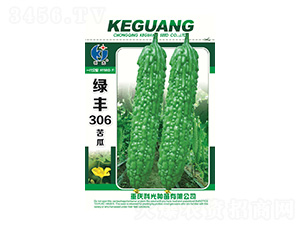 �̷�306-�ƹ�����