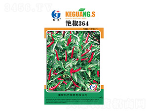 �޽�364-�ƹ�����