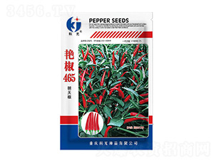 �޽�465-�ƹ�����