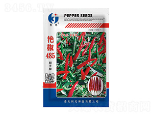 �޽�485-�ƹ�����