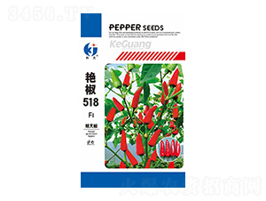�޽�518-�ƹ�����