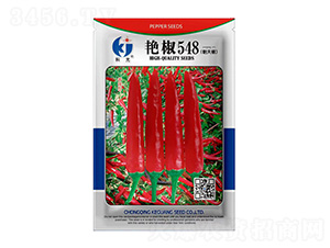 �޽�548-�ƹ�����