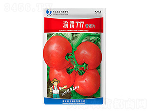 �巬717-�ƹ�����