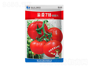 �巬718-�ƹ�����