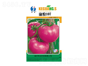 ���107-�ƹ�����