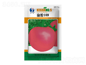 ���109-�ƹ�����
