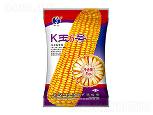 K��6��-�ƹ�����
