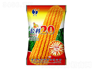 ����20-�ƹ�����