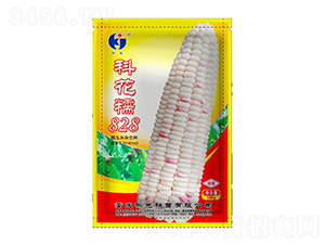 �ƻ�Ŵ828-�ƹ�����