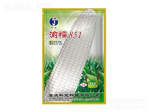 ��Ŵ851-�ƹ�����