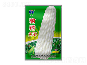 ��Ŵ930-�ƹ�����