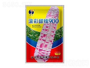 �����Ŵ900-�ƹ�����