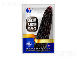 �����Ŵ950-�ƹ�����