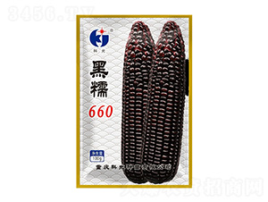 ��Ŵ660-�ƹ�����