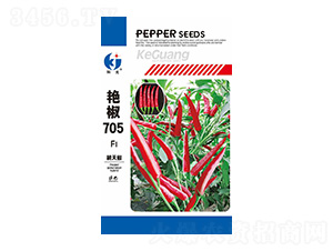 �޽�705��������-�ƹ�����