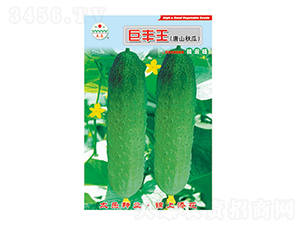 �ƹ�����-�޷���-̫����ҵ