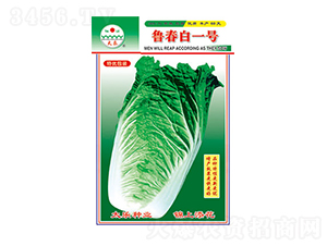 �ײ�����-³���ס���-̫����ҵ