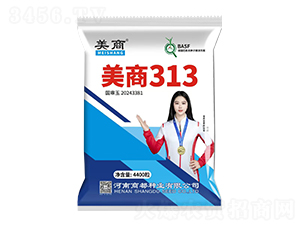 ����313��������-�̶���ҵ