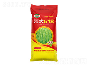 �Ӵ�518С������-����-ԥ����ҵ