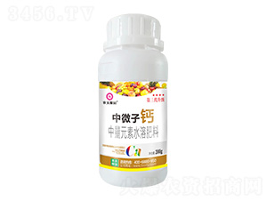 200g����Ԫ��ˮ�ܷ���-��΢�Ӹ�-ũ���԰