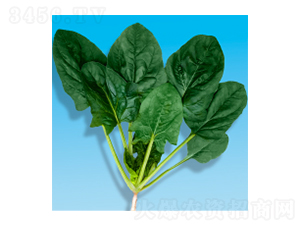 ��������-孲�203-�����ҵ