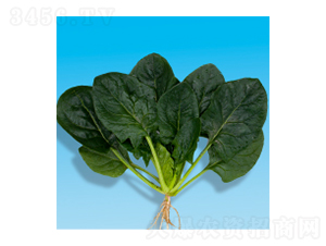 ��������-孲�4��-�����ҵ