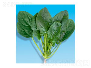 ��������-孲�207-�����ҵ