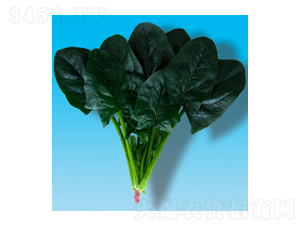��������-孲�012-�����ҵ