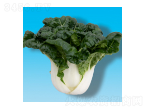 �๣������-�̰ײ�302-�����ҵ