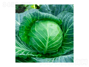 ��������-學�312-�����ҵ