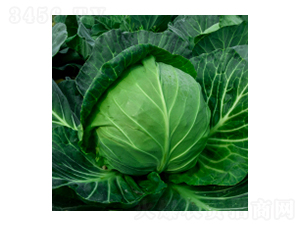 ��������-學�317-�����ҵ