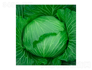 ��������-學�316-�����ҵ