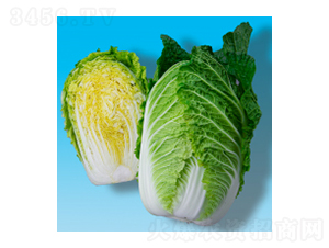 ��ײ�����-孻�321-�����ҵ